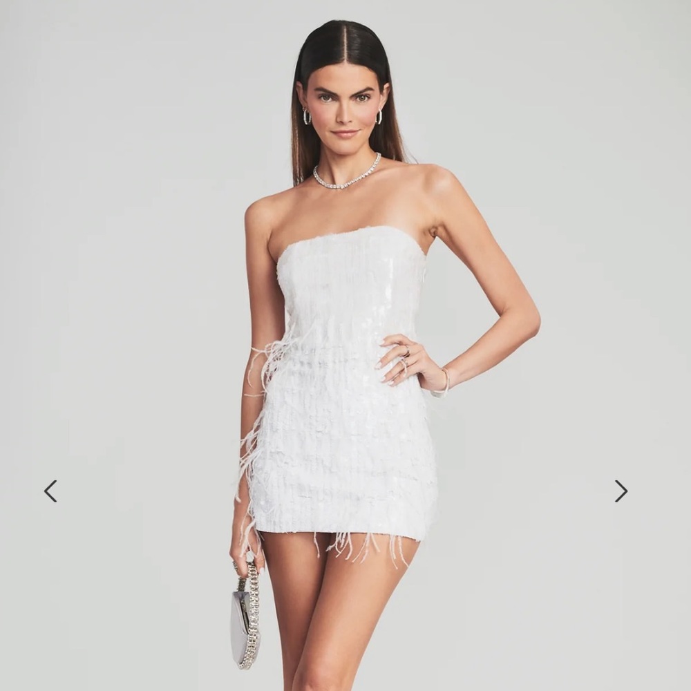 Retrofete Anastasia Sequin Feather Dress